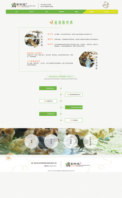 返林散養(yǎng)雞官網(wǎng)設(shè)計效果圖展示