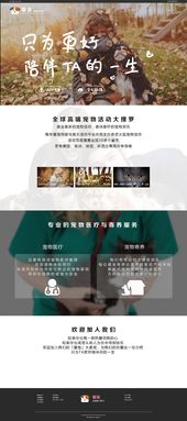 潛子寵物 一個(gè)以愛為名的企業(yè)官網(wǎng)設(shè)計(jì)之旅